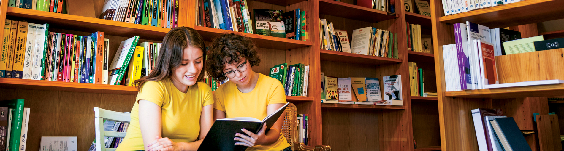 muebles para biblioteca